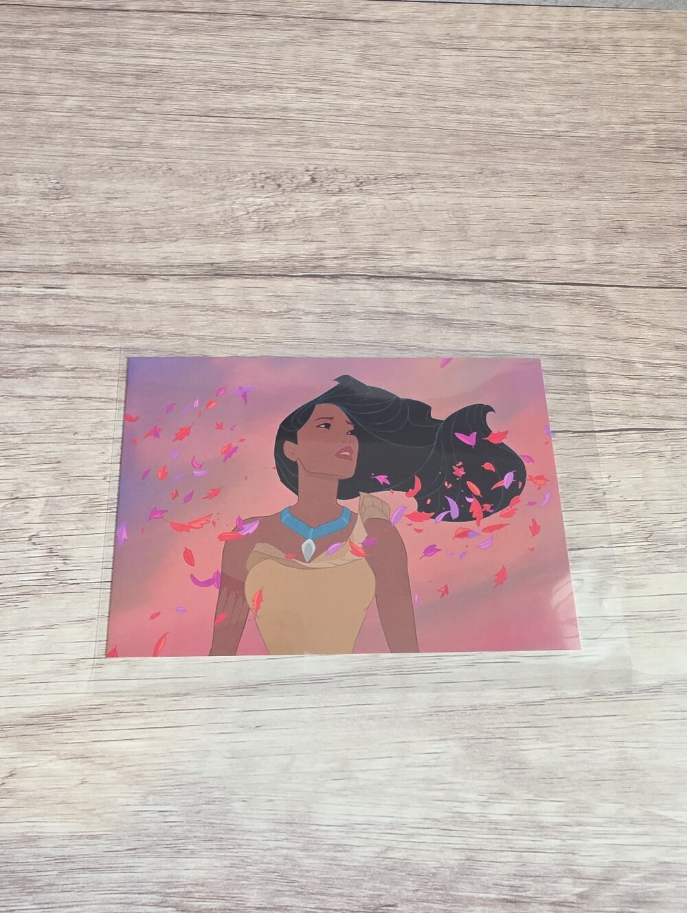 ✨️BUY 3 FOR $22 Pocahontas, Pocahontas, 1995 Postcard